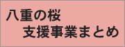 八重の桜支援事業まとめ