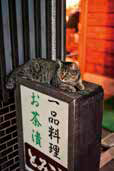 富幸01